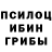 Бошки Шишки сатива ERGO _TOP208