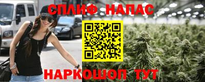spice Гусиноозёрск