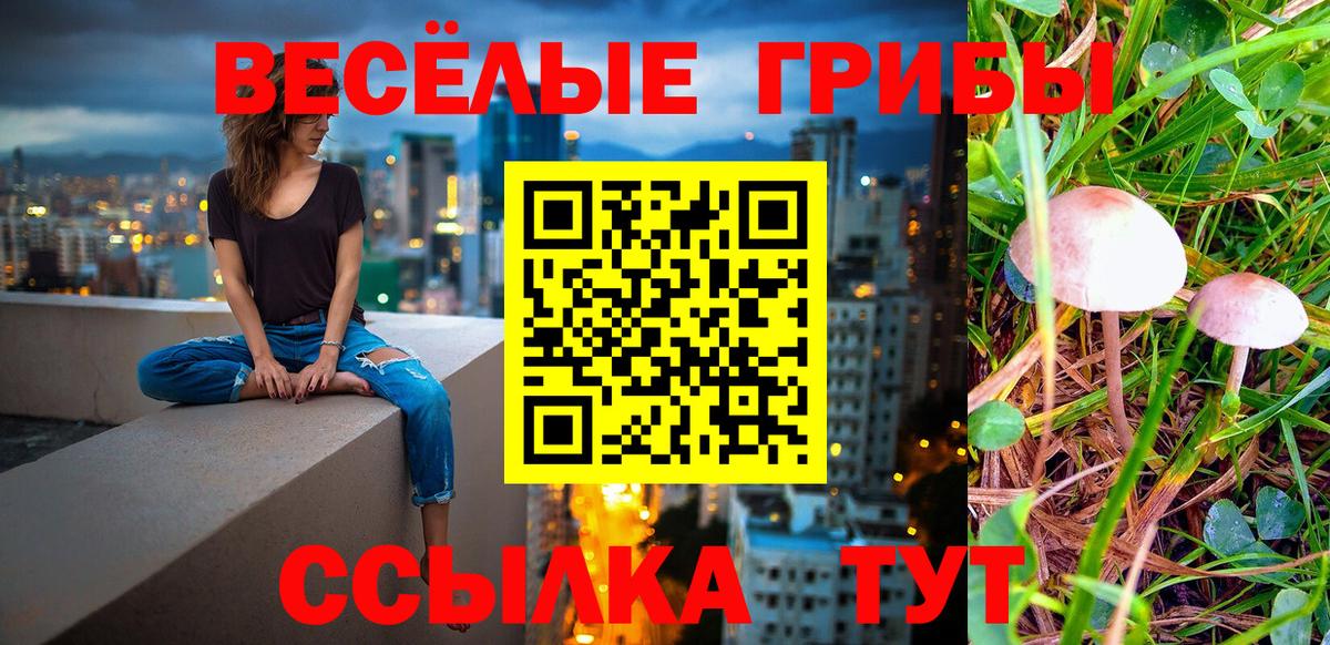 Ипатово  Псилоцибиновые грибы мицелий  Вход с VPN  как найти закладки  Псилоцибиновые грибы Cubensis 